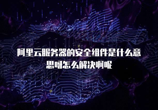 阿里云服务器的安全组件是什么意思呀怎么解决啊呢