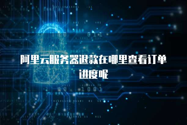 阿里云服务器退款在哪里查看订单进度呢