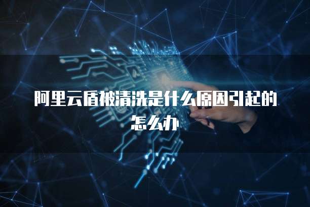 阿里云盾被清洗是什么原因引起的怎么办