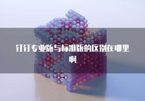 钉钉专业版与标准版的区别在哪里啊