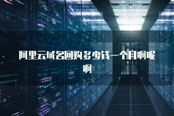 阿里云域名回购多少钱一个月啊呢啊