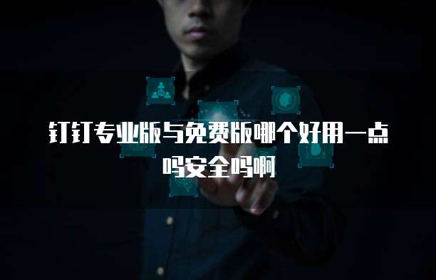 钉钉专业版与免费版哪个好用一点吗安全吗啊