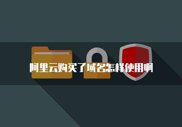 阿里云购买了域名怎样使用啊