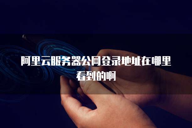阿里云服务器公网登录地址在哪里看到的啊