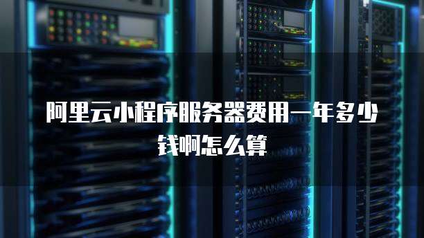 阿里云小程序服务器费用一年多少钱啊怎么算