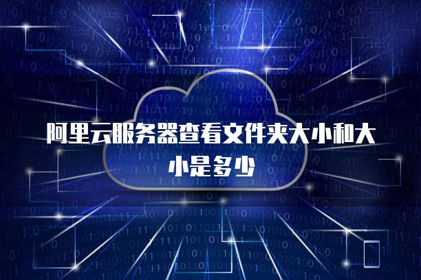 阿里云服务器查看文件夹大小和大小是多少