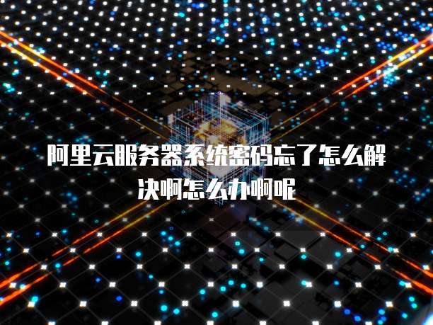 阿里云服务器系统密码忘了怎么解决啊怎么办啊呢