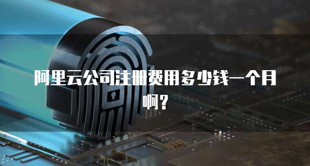 阿里云公司注册费用多少钱一个月啊?