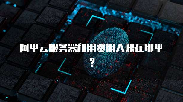 阿里云服务器租用费用入账在哪里?