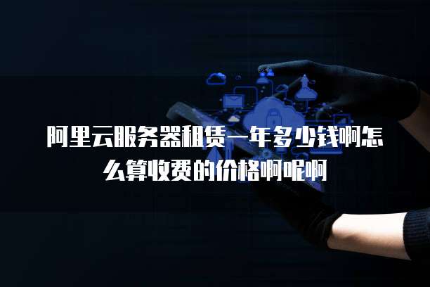阿里云服务器租赁一年多少钱啊怎么算收费的价格啊呢啊