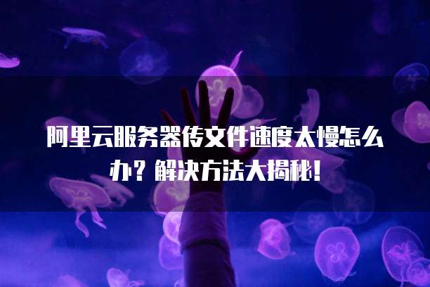 阿里云服务器传文件速度太慢怎么办？解决方法大揭秘！