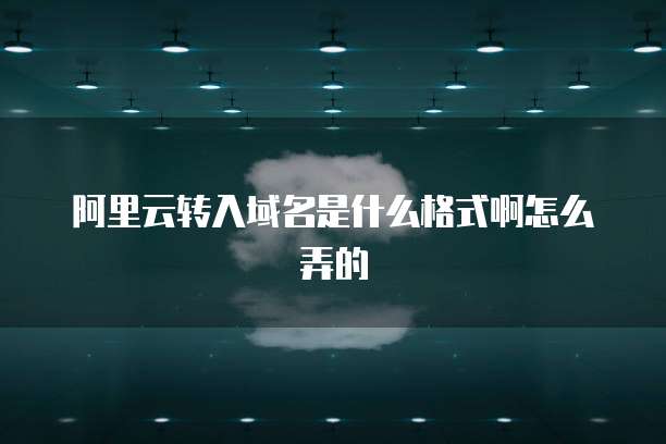 阿里云转入域名是什么格式啊怎么弄的