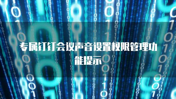 专属钉钉会议声音设置权限管理功能提示