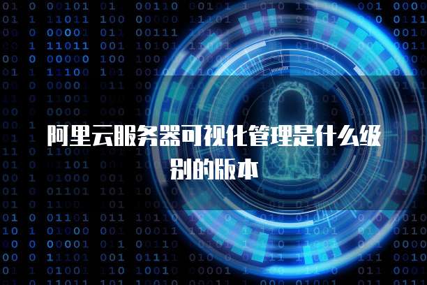 阿里云服务器可视化管理是什么级别的版本