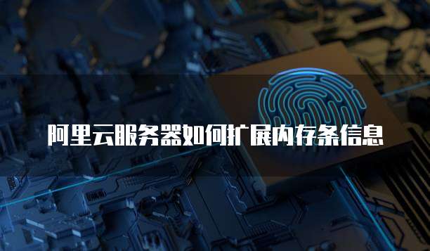 阿里云服务器如何扩展内存条信息