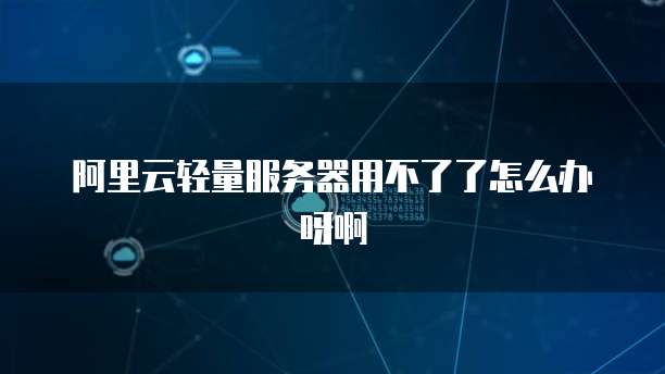 阿里云轻量服务器用不了了怎么办呀啊