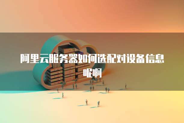 阿里云服务器如何选配对设备信息呢啊