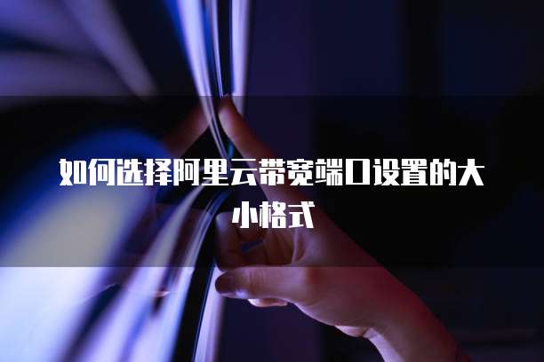 如何选择阿里云带宽端口设置的大小格式