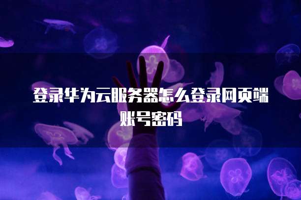 阿里云怎么看自己的服务器名称和密码是多少位