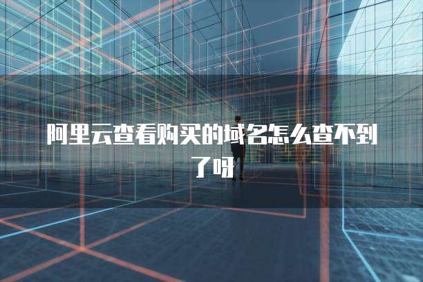 阿里云查看购买的域名怎么查不到了呀