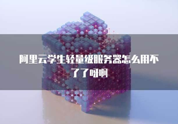 阿里云学生轻量级服务器怎么用不了了呀啊