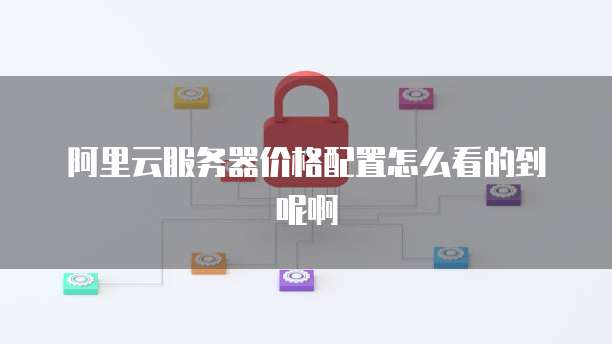 阿里云服务器价格配置怎么看的到呢啊