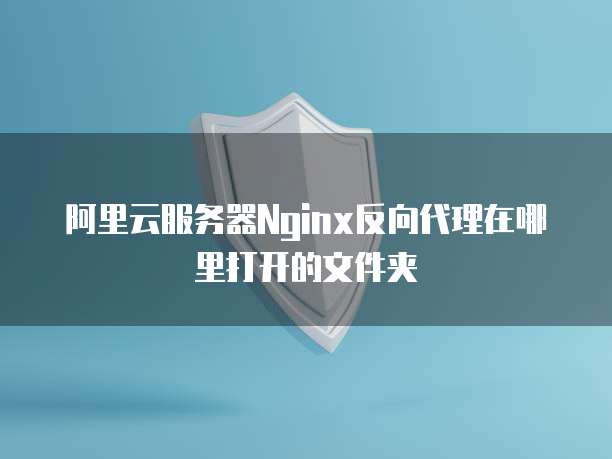 阿里云服务器Nginx反向代理在哪里打开的文件夹