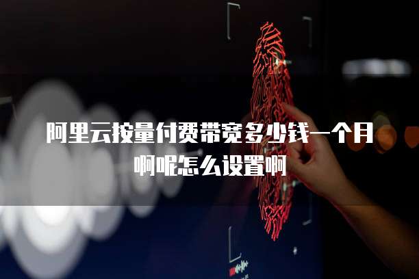 阿里云按量付费带宽多少钱一个月啊呢怎么设置啊