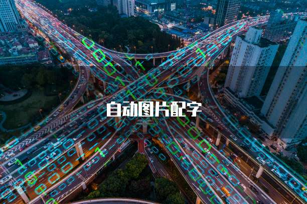 钉钉专业版:如何在钉钉中实现企业级应用