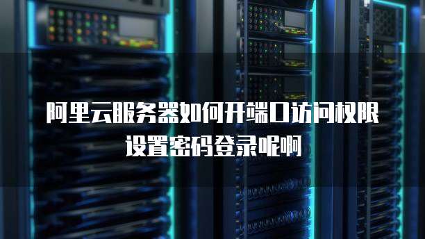 阿里云服务器如何开端口访问权限设置密码登录呢啊