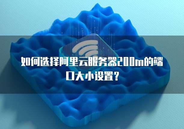 如何选择阿里云服务器200m的端口大小设置？