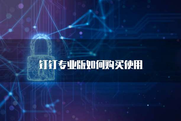 钉钉专业版如何购买使用