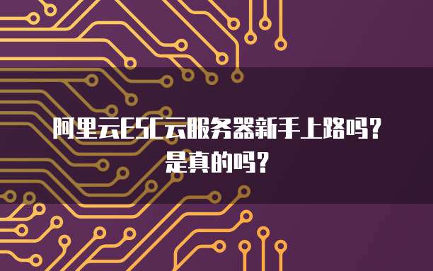 阿里云ESC云服务器新手上路吗?是真的吗?
