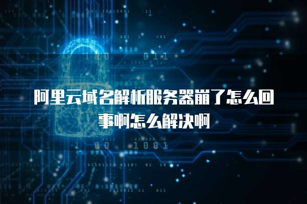 阿里云域名解析服务器崩了怎么回事啊怎么解决啊