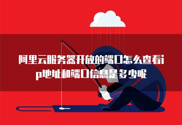 阿里云服务器开放的端口怎么查看ip地址和端口信息是多少呢