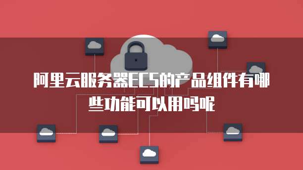 阿里云服务器ECS的产品组件有哪些功能可以用吗呢