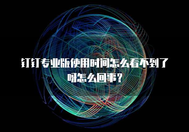 钉钉专业版使用时间怎么看不到了呀怎么回事?
