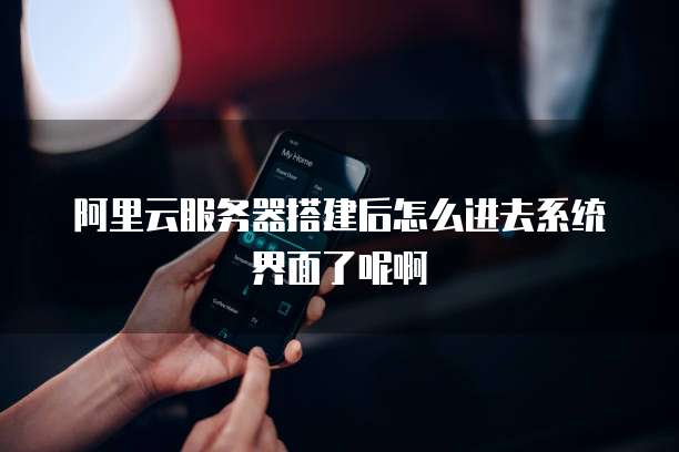 阿里云服务器搭建后怎么进去系统界面了呢啊