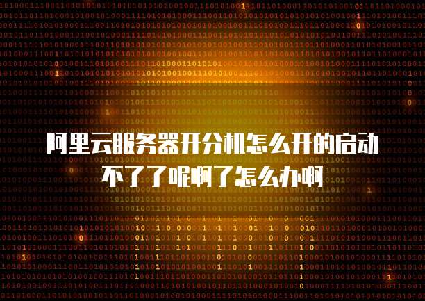 阿里云服务器开分机怎么开的启动不了了呢啊了怎么办啊