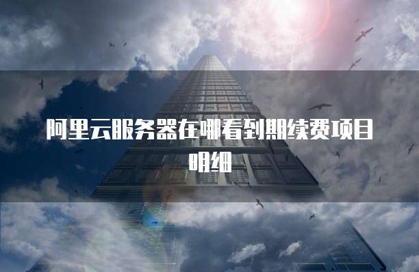 阿里云服务器在哪看到期续费项目明细