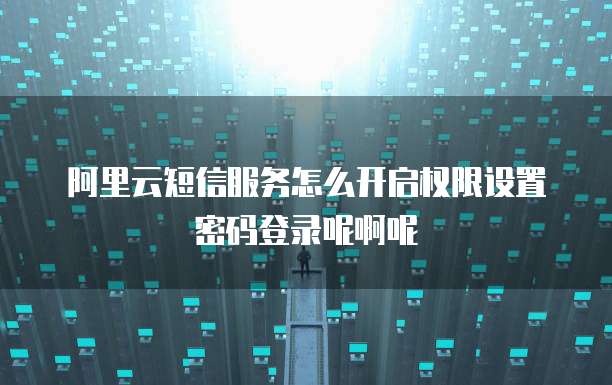 阿里云短信服务怎么开启权限设置密码登录呢啊呢