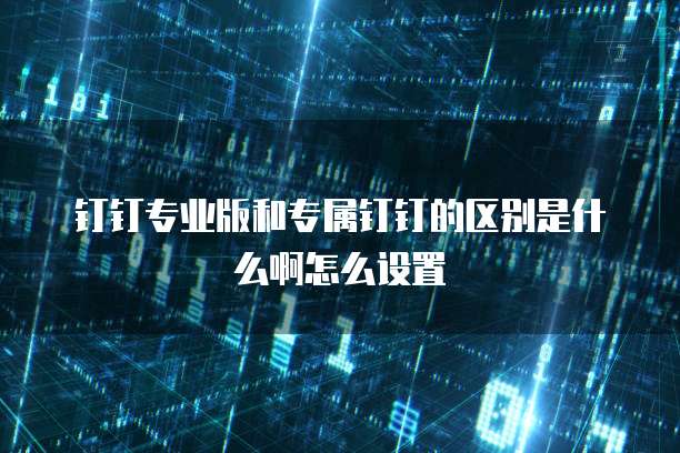 钉钉专业版和专属钉钉的区别是什么啊怎么设置