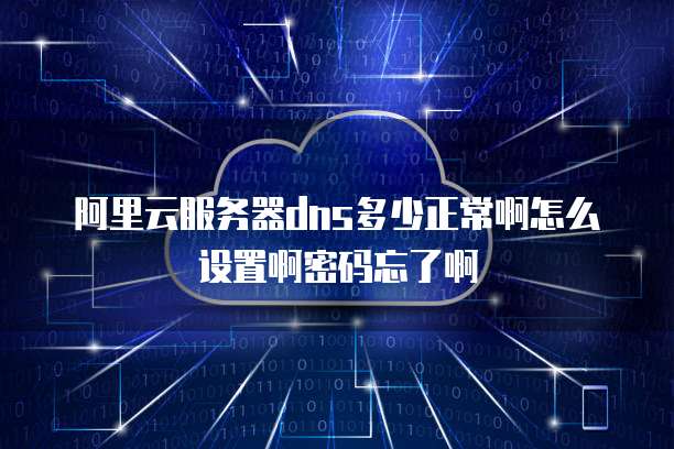 阿里云服务器dns多少正常啊怎么设置啊密码忘了啊