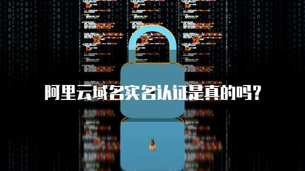 阿里云服务器放在哪的文件夹里面啊