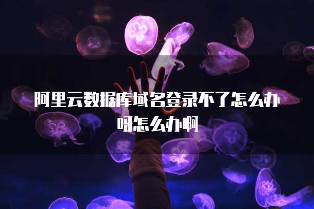 阿里云数据库域名登录不了怎么办呀怎么办啊
