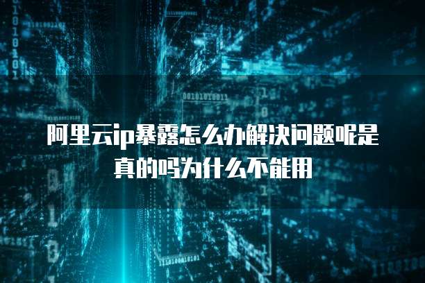 阿里云ip暴露怎么办解决问题呢是真的吗为什么不能用