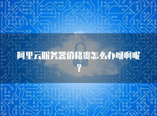 阿里云服务器价格贵怎么办呀啊呢?