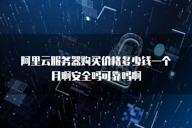 阿里云服务器购买价格多少钱一个月啊安全吗可靠吗啊