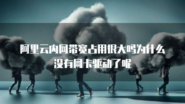 阿里云内网带宽占用很大吗为什么没有网卡驱动了呢