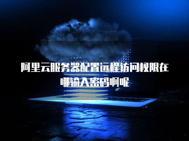 阿里云服务器配置远程访问权限在哪输入密码啊呢